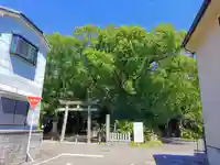 清洲山王宮 日吉神社の自然
