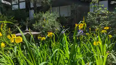 宝蔵寺(京都府)