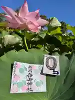 白山神社の御朱印