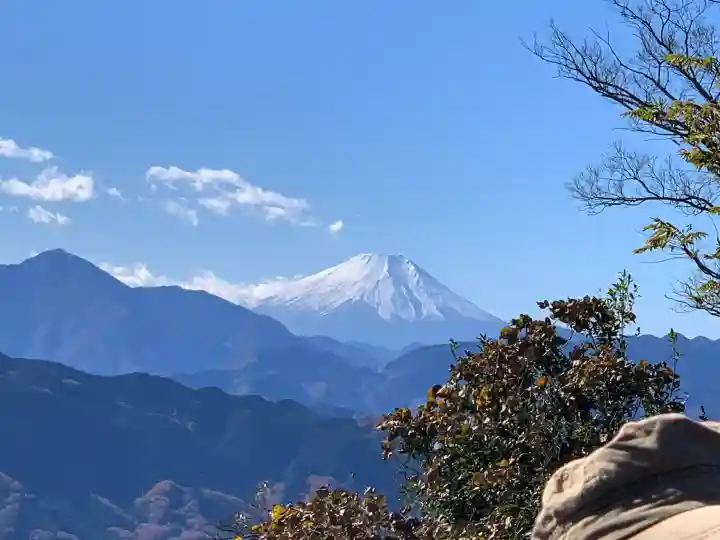 高尾山薬王院(東京都)