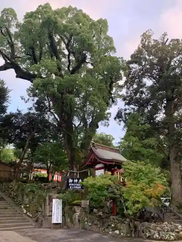 鹿児島神宮の建物その他