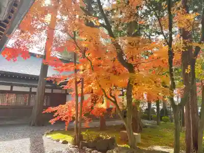 諏訪大社下社秋宮(長野県)