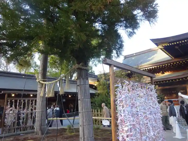 寒川神社の自然