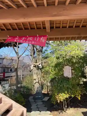 差出磯大嶽山神社 仕事と健康と厄よけの神さま(山梨県)