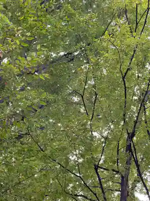 瘡守稲荷神社(東京都)