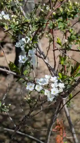 隨心院（随心院）(京都府)