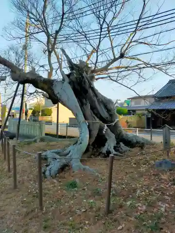 三輪神社(奈良県)
