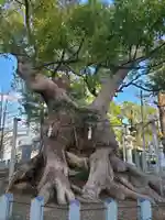篠栗総鎮守 老松神社(福岡県)