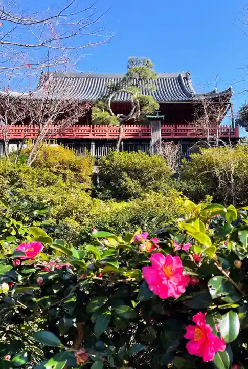 清水観音堂の本殿・本堂