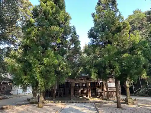 玉作湯神社の{uncategorized: "未分類", other: "その他", undefined: "問題あり", building: "その他建物", grave: "お墓", sacred_gate: "鳥居", guardian: "狛犬", statue: "像", buddha: "仏像", history: "歴史", nature: "自然", garden: "庭園", animal: "動物", pagoda: "塔", temizu: "手水舎", mountain_gate: "山門・神門", sanctuary: "本殿・本堂", subordinate: "末社・摂社", art: "芸術", scenery: "景色", jizo: "地蔵", ema: "絵馬", goshuin: "御朱印", omikuji: "おみくじ", items: "授与品その他", amulet: "お守り", goshuincho: "御朱印帳", eats: "食事", festival: "お祭り", votive_dance: "神楽", shichigosan: "七五三参", wedding: "結婚式", experience: "体験その他", initially: "初詣", around: "周辺", anti_infection: "感染症対策"}