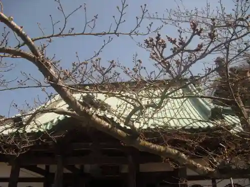 光明寺のその他建物