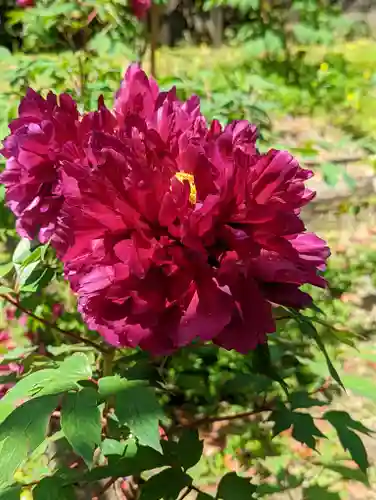 乙訓寺(京都府)