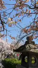 六孫王神社(京都府)