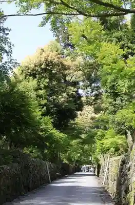 興聖寺(興聖寶林禅寺)(京都府)