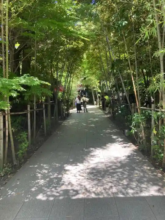 來宮神社(静岡県)