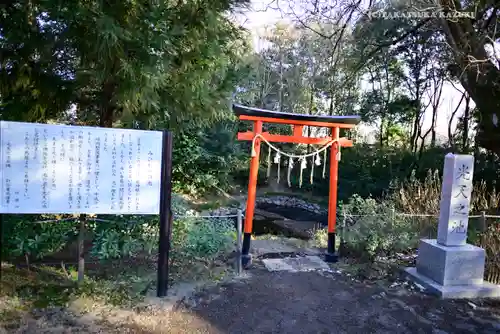 鷲宮神社の鳥居