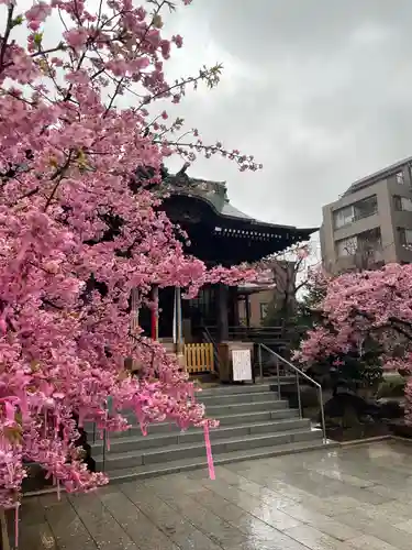 桜神宮(東京都)