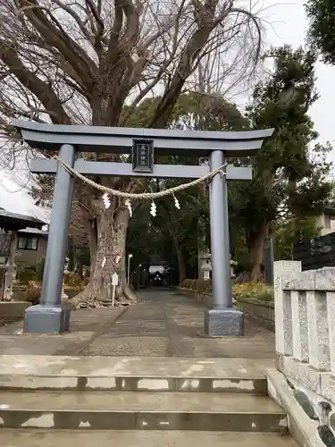 五社神社(神奈川県)