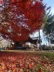 大星神社の本殿