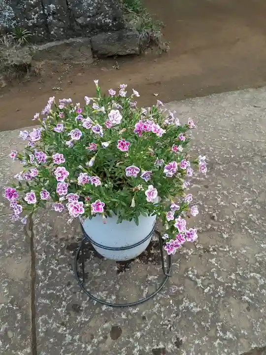 伏木香取神社の自然