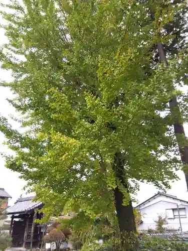 来昌寺(岐阜県)