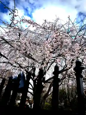 芳林寺(埼玉県)