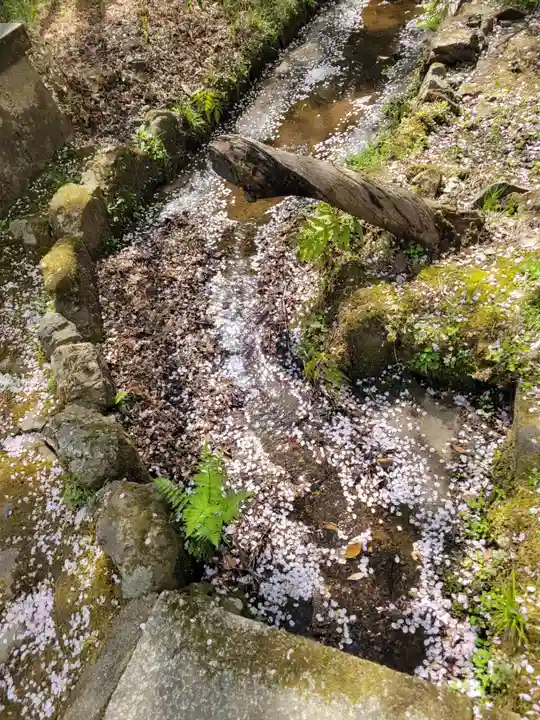 勝持寺(花の寺)(京都府)