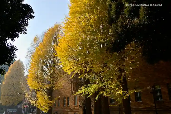 寛永寺開山堂の自然