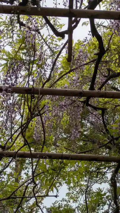 誉田八幡宮(大阪府)