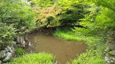 鍬山神社(京都府)
