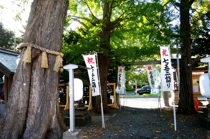 札幌諏訪神社の自然
