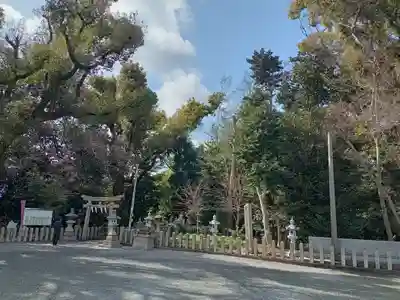 曽禰神社(大阪府)