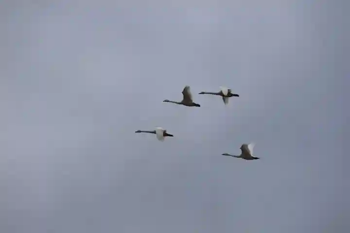 豊景神社の景色
