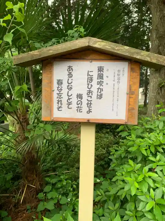 篠岡八幡大神社(埼玉県)