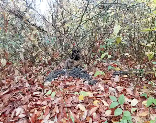 丸子山王日枝神社(神奈川県)
