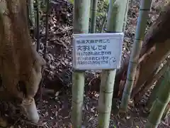 瀧川神社の建物その他