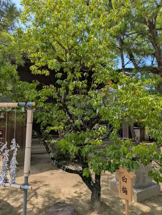 大元 宗忠神社(岡山県)