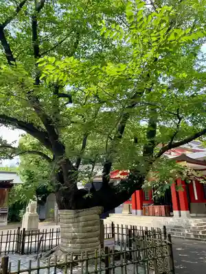 旗岡八幡神社(東京都)
