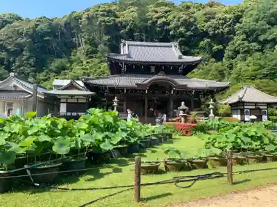 三室戸寺のその他建物