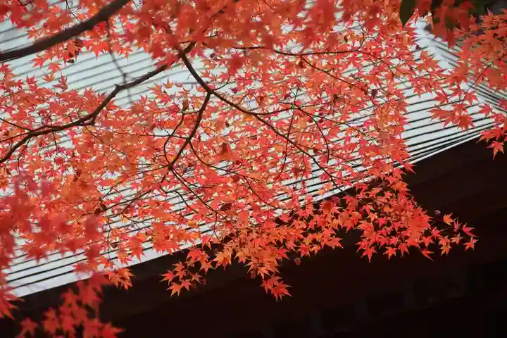 國祖神社の自然