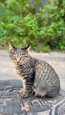 妙心寺(北海道)