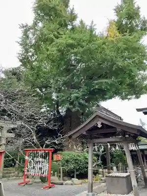 荏柄天神社のその他建物