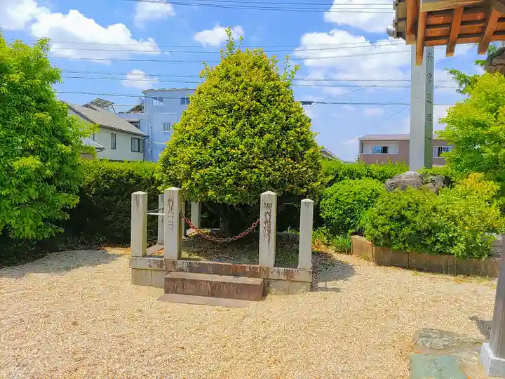 日吉山王社の自然