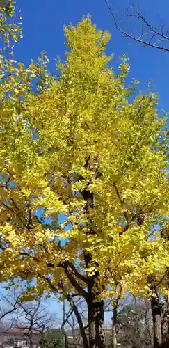 北野神社の庭園