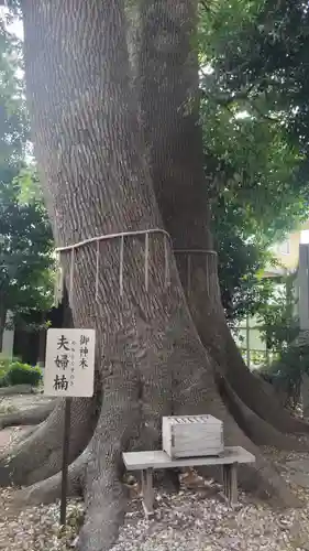 鳩ヶ谷氷川神社(埼玉県)
