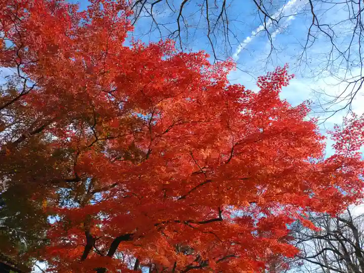 金峯神社(新潟県)
