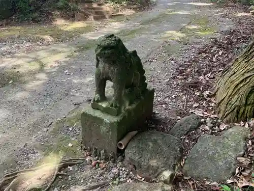 八坂神社の狛犬