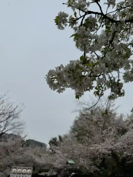 靖國神社の{uncategorized: "未分類", other: "その他", undefined: "問題あり", building: "その他建物", grave: "お墓", sacred_gate: "鳥居", guardian: "狛犬", statue: "像", buddha: "仏像", history: "歴史", nature: "自然", garden: "庭園", animal: "動物", pagoda: "塔", temizu: "手水舎", mountain_gate: "山門・神門", sanctuary: "本殿・本堂", subordinate: "末社・摂社", art: "芸術", scenery: "景色", jizo: "地蔵", ema: "絵馬", goshuin: "御朱印", omikuji: "おみくじ", items: "授与品その他", amulet: "お守り", goshuincho: "御朱印帳", eats: "食事", festival: "お祭り", votive_dance: "神楽", shichigosan: "七五三参", wedding: "結婚式", experience: "体験その他", initially: "初詣", around: "周辺", anti_infection: "感染症対策"}