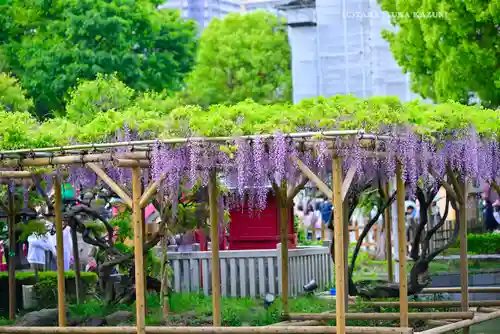 亀戸天神社(東京都)