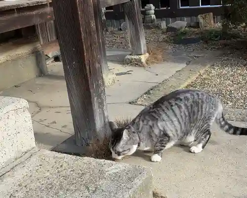 正覚院(京都府)
